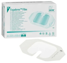 TegadermIV kanüüliplaaste 6x7cm N100